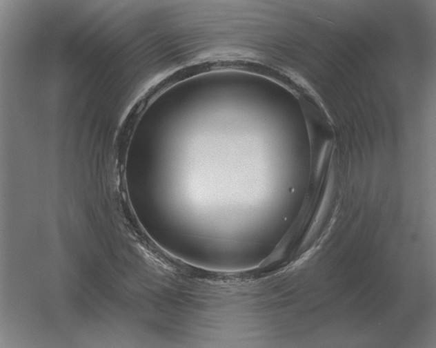 X0000054420973200508121747