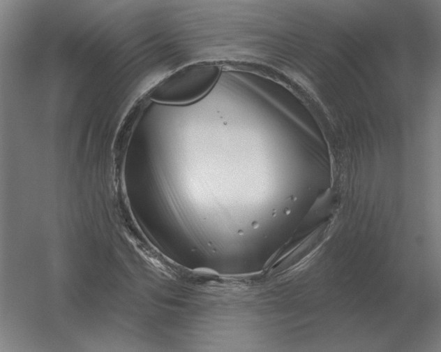 X0000054420974200508121747