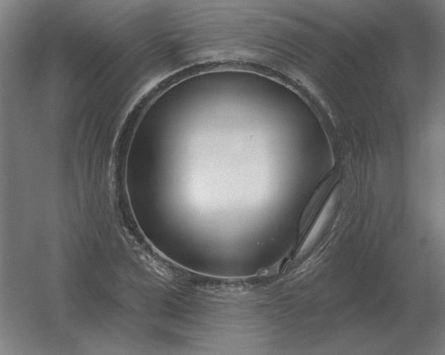 X0000054420975200508121747