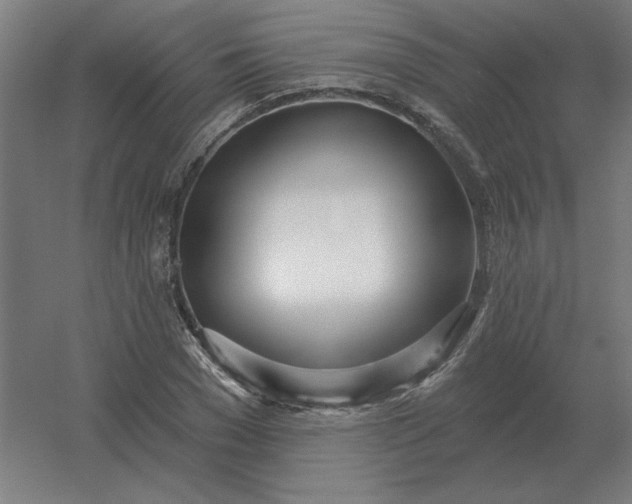 X0000054420977200508121747