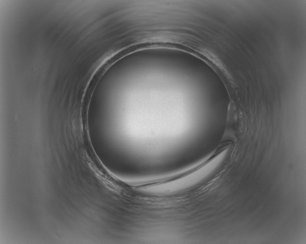 X0000054420980200508121747