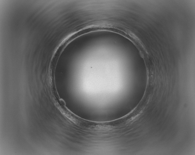 X0000054420981200508121747