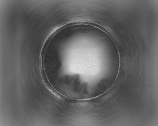 X0000054420982200508121747