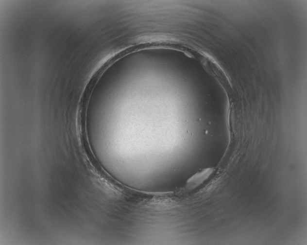 X0000054420983200508121747