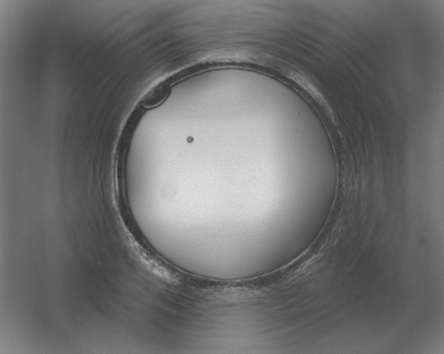 X0000054420984200508121747