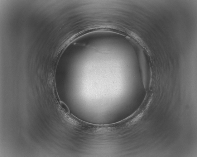 X0000054420985200508121747