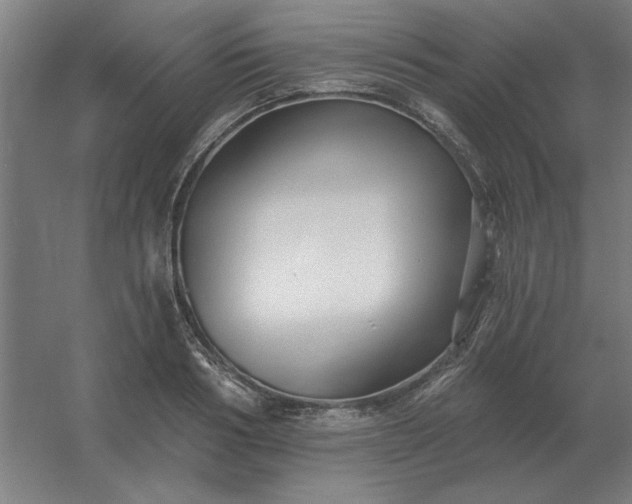 X0000054420986200508121747