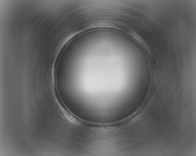 X0000054420988200508121747