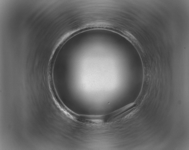 X0000054420989200508121747