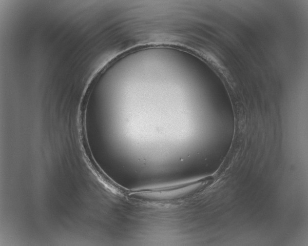 X0000054420990200508121747