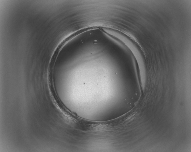 X0000054420991200508121747