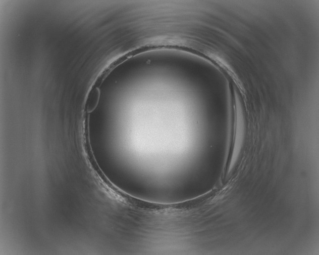 X0000054420992200508121747