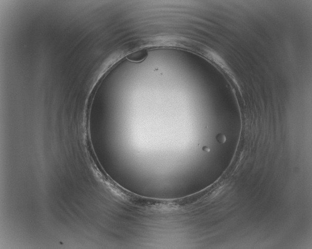 X0000054420994200508121747