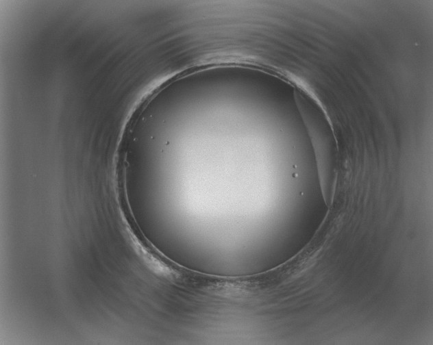 X0000054420995200508121747