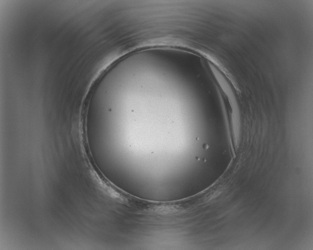 X0000054420998200508121746