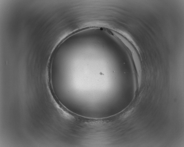 X0000054420999200508121746