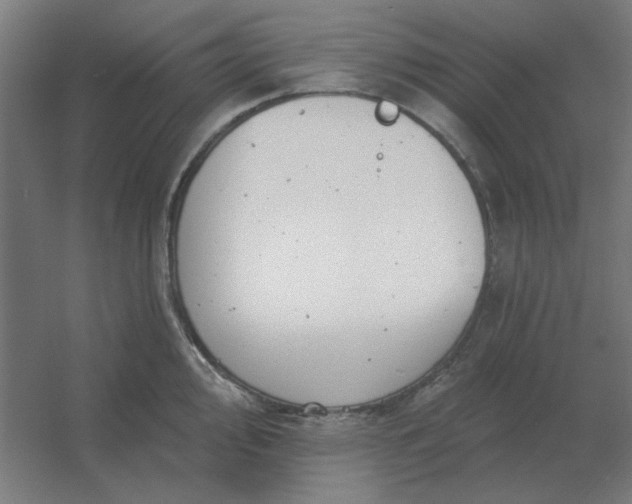 X0000054421000200508121746