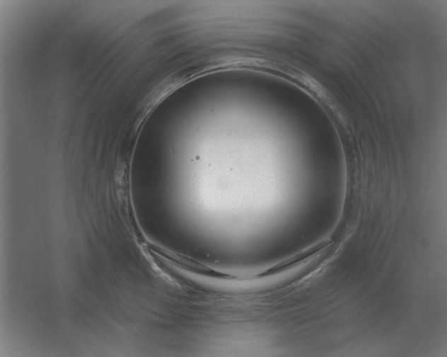 X0000054421001200508121746