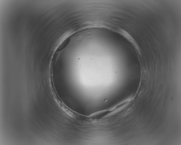 X0000054421002200508121746