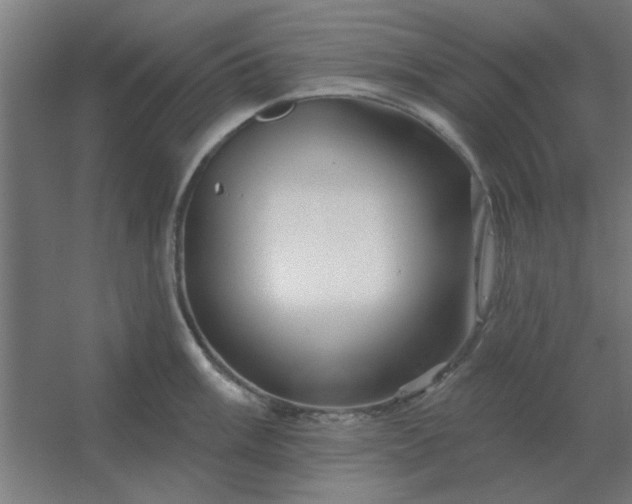 X0000054421003200508121746