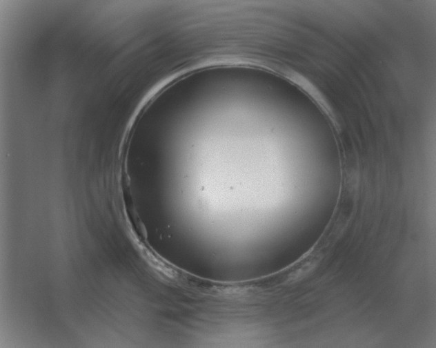 X0000054421004200508121746