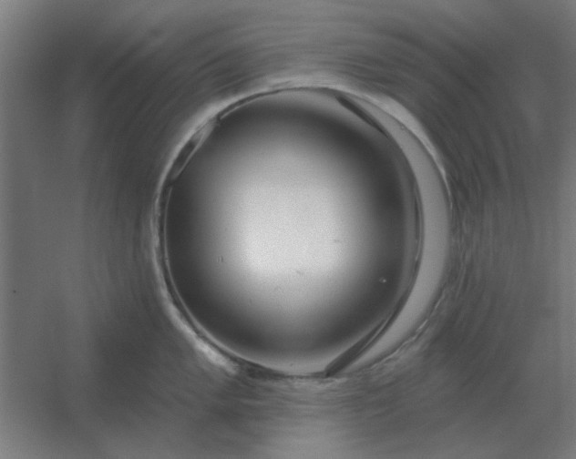 X0000054421005200508121746