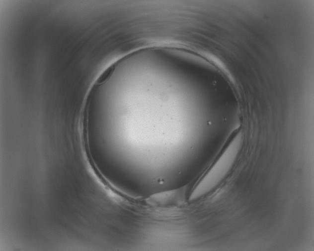 X0000054421007200508121746