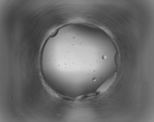 X0000054421008200508121746