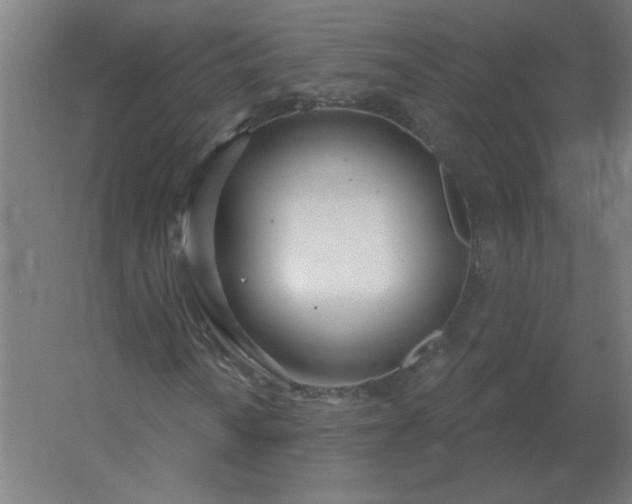 X0000054421010200508121746