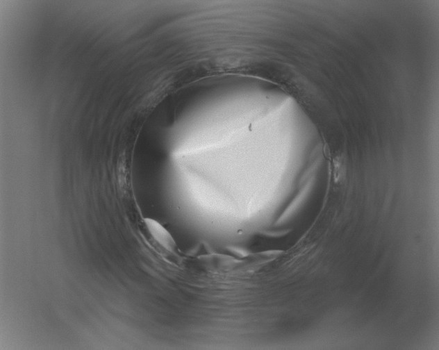 X0000054421011200508121746