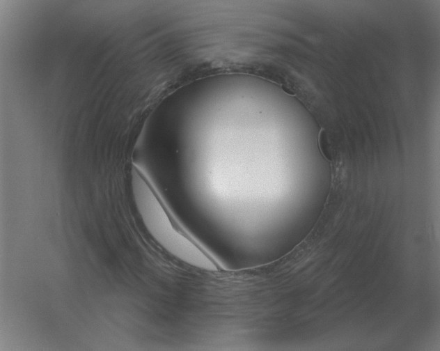 X0000054421012200508121746