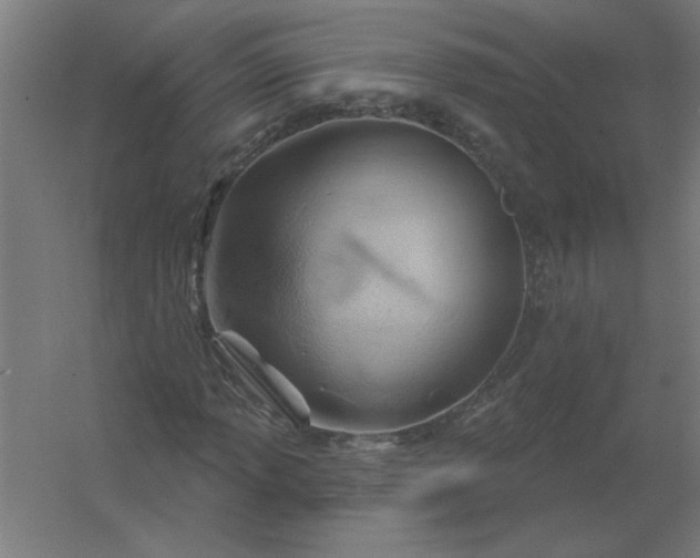 X0000054421013200508121746