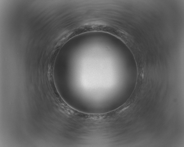 X0000054421014200508121746