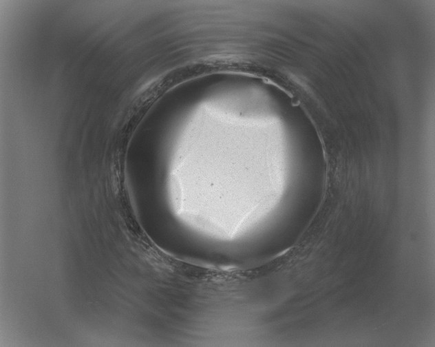 X0000054421015200508121746