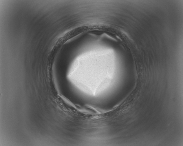 X0000054421016200508121746