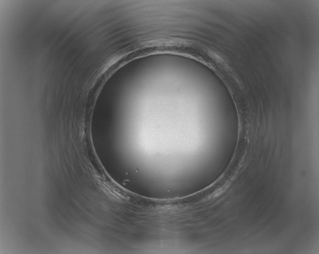 X0000054421017200508121746