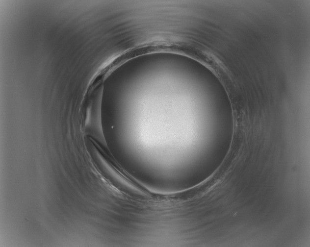 X0000054421018200508121746