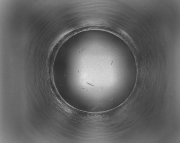 X0000054421019200508121746