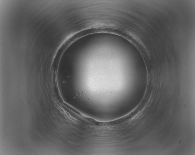 X0000054421021200508121746