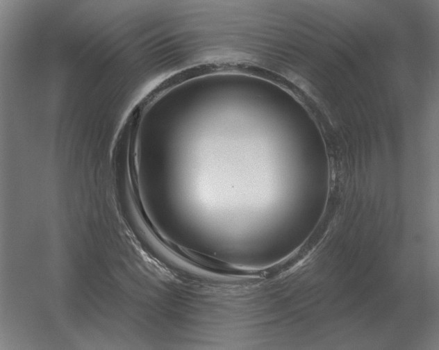 X0000054421022200508121746