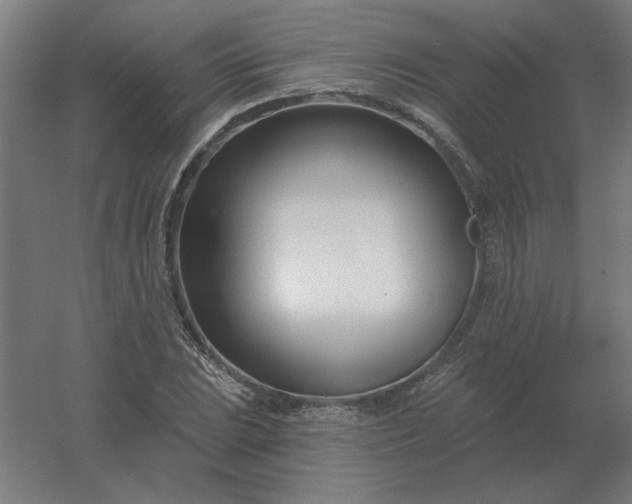 X0000054421023200508121746