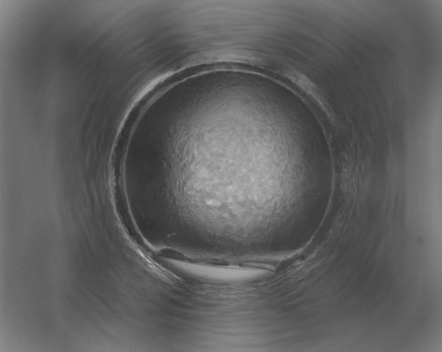 X0000054421024200508121746