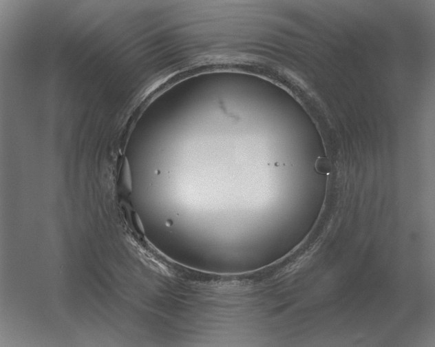 X0000054421025200508121746