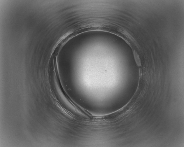 X0000054421026200508121746