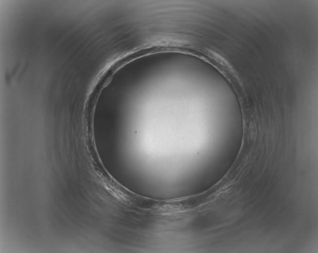 X0000054421027200508121746