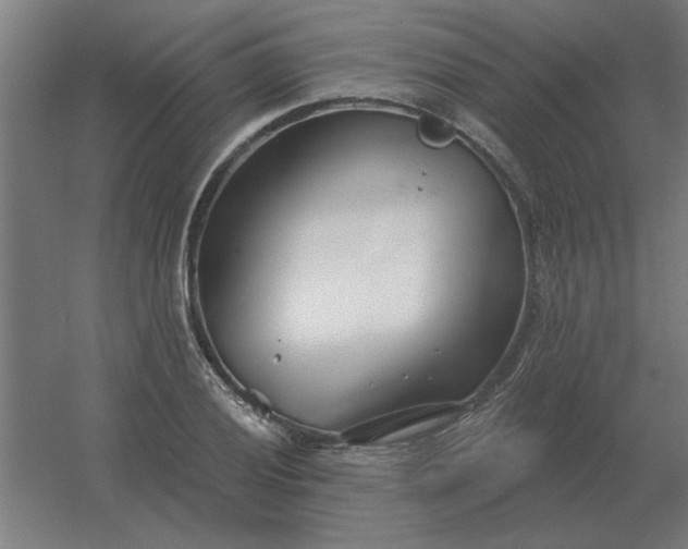 X0000054421028200508121746