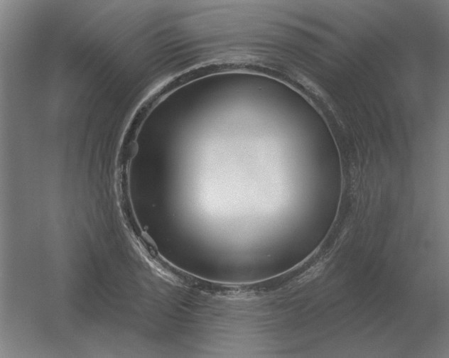 X0000054421029200508121746