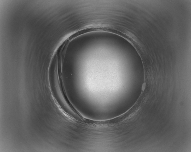 X0000054421030200508121746