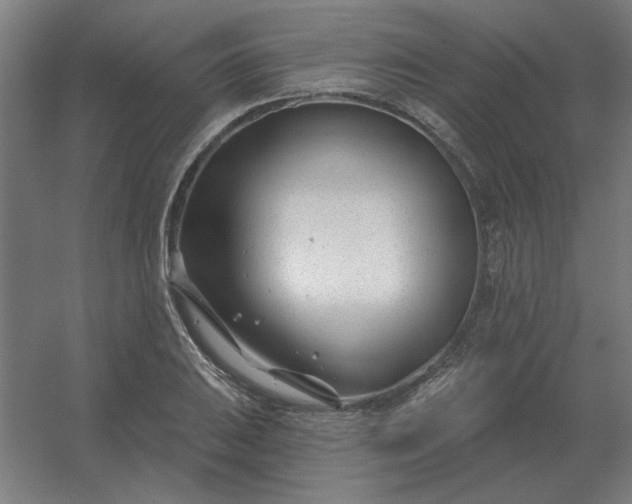 X0000054421031200508121746