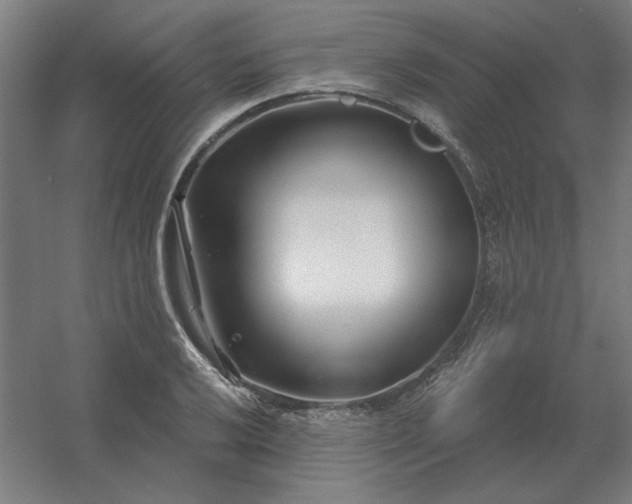 X0000054421032200508121746